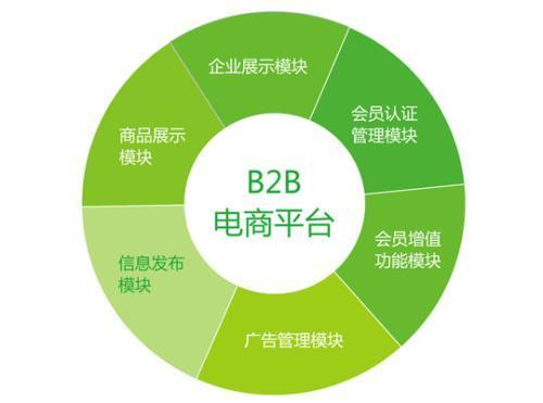 为什么需要定制的b2b网站系统建设方案